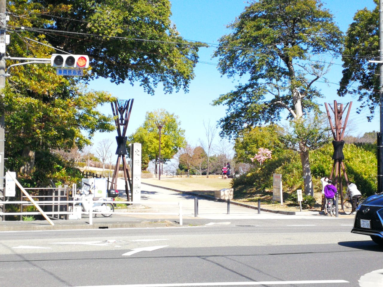 小牧市 小牧山桜まつり ライトアップと土日イベント中止のお知らせ 号外net 小牧市 犬山市