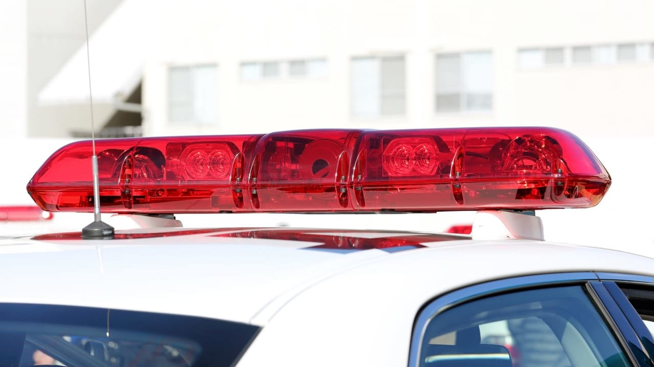 映画館 号外net 小牧市 犬山市