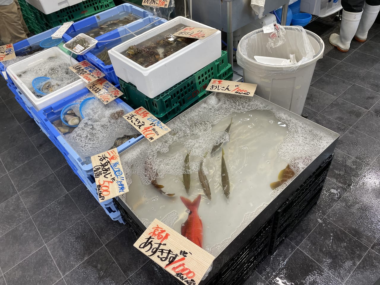 バロー小牧岩崎店の魚