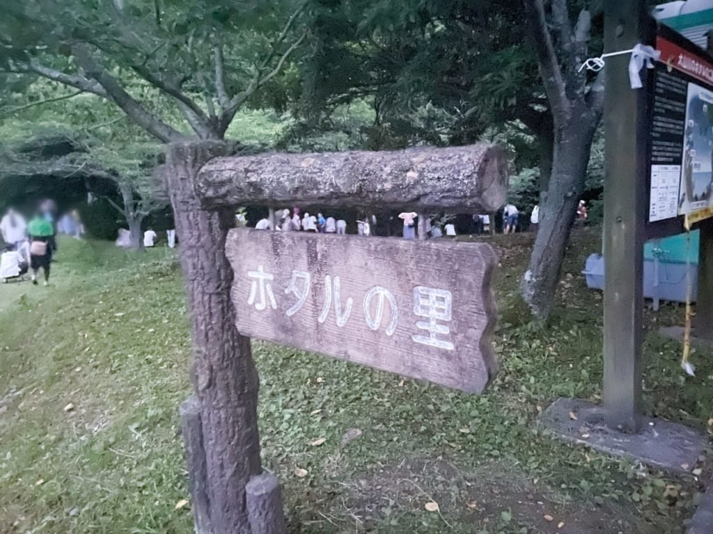 ホタルの里