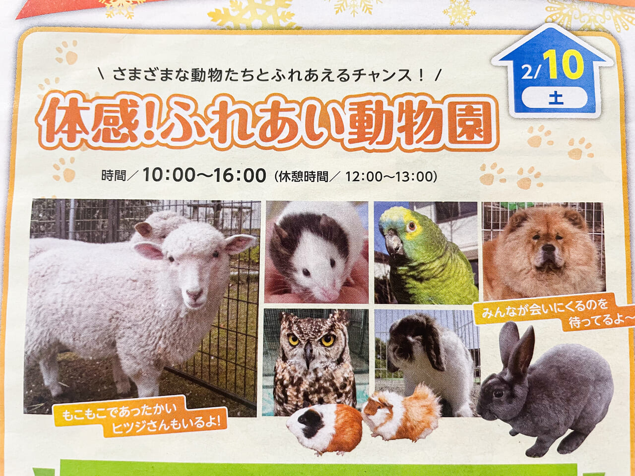 中京テレビハウジング小牧　移動動物園