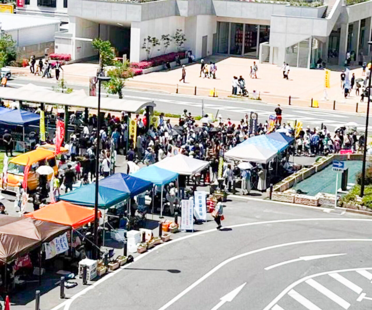 尾張めだか祭