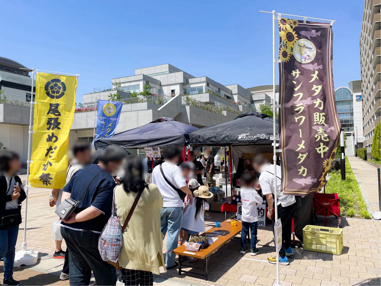 尾張めだか祭