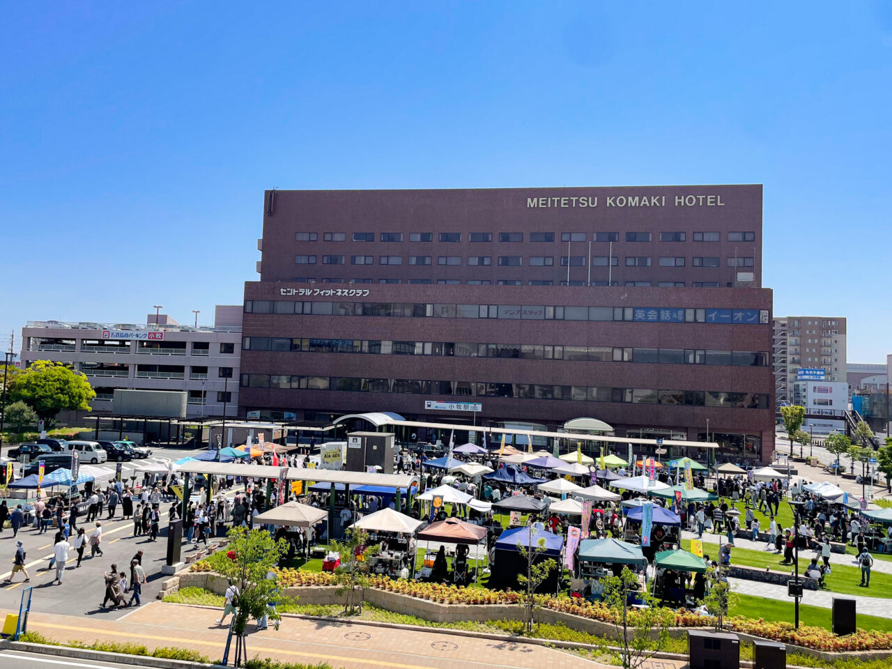 尾張めだか祭