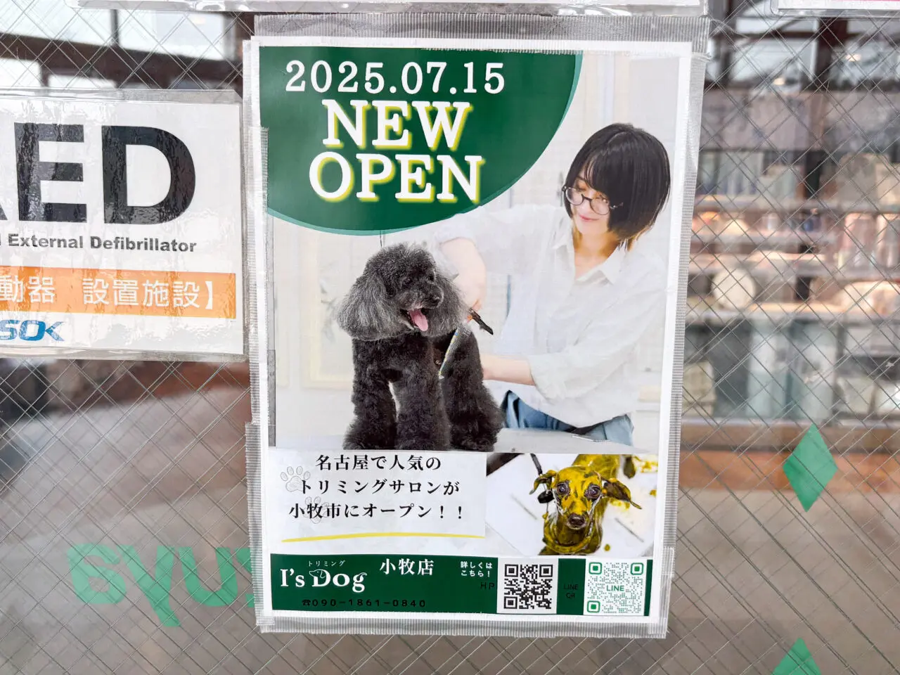 i's dog